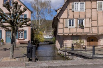 Residential buildings in the Quartier du Bruch on the Lauter Canal, Wissembourg, Alsace, France,