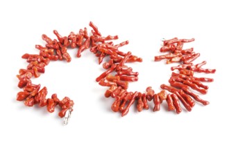 Red coral beads isolated on white background. top view, close up