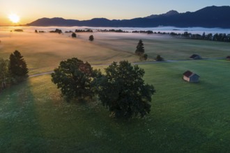 Aerial view of meadows and trees in front of mountains against the light, sunrise, fog, autumn,