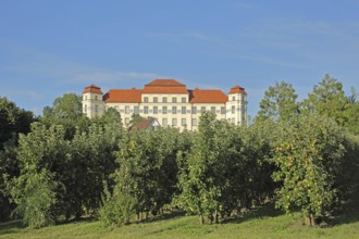 Baroque New Castle built in 1712 and apple orchard, Baroque castle, Tettnang, Lake Constance