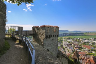 Bridge, view of small town, houses, roofs, Hohenbeilstein Castle, hilltop castle, Beilstein,