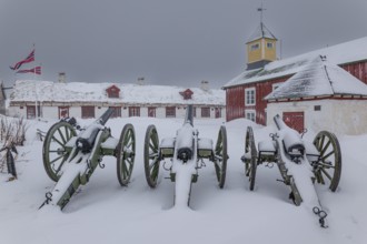 Historical cannons, building, war museum, snow, wind, snowstorm, Vardohus Fortress, Vardo, Varanger