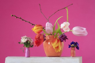 Picturesque still life with flowers, Germany, Europe