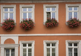 Old orange painted stucco cladded architectural style building facade with greyish white trim