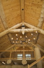 Knotty pine wood planks high cathedral ceiling with illuminated deer antlers chandelier, large