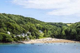 Boats and Yachts on Kingsbridge Estuary in Salcombe and Mill Bay, Batson Creek, Southpool Creek,