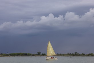 Sailing boat on the Canale della Giudecca. Venice, Venice, Italy, Europe