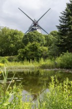 Pond with water lilies, historic windmill, park at the mill, Wyk, Föhr, North Sea island, North