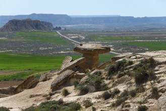 Landscape with unique rock formations and a green valley under a clear blue sky, Bardenas Reales