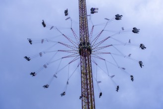 Chain flyer, Amusement ride, Cannstadter Volksfest, Stuttgart, Baden-Württemberg