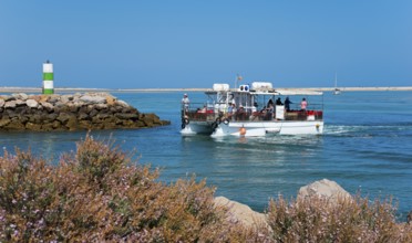 A boat sails past a lighthouse and flowering bushes over blue water, boat sails on river Ribeiro de