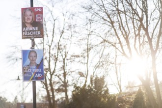 Election posters of the SPD (Ariane Fäscher) and AfD (Alice Weidel) parties for the early federal