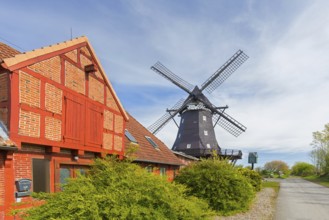 Windmill museum in old smock mill Jachen Flünk in the village Lemkenhafen on Fehmarn island,