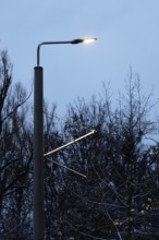 Street lighting, late autumn, Germany, Europe