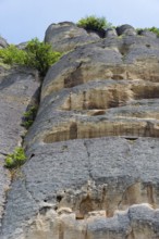 Rock face with lush vegetation under a blue sky at a sunny time of day, rock relief, Horsemen of