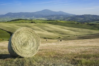 Harvested wheat field with bales of straw, landscape around Pienza, Val d'Orcia, Orcia Valley,