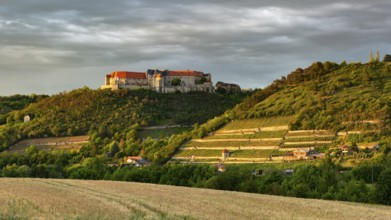 View of Neuenburg Castle and the ducal vineyard, thunderstorm atmosphere, evening light, Freyburg