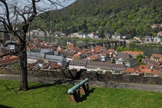 View from the castle to Heidelberg with old bridge and the Neckar in front old cannon, castle