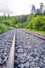 Tracks run through wooded area, surrounded by gravel and lush greenery, under a cloudy sky, Hermann