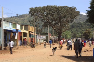 South Ethiopia, street scene in Jinka, Ethiopia, Africa