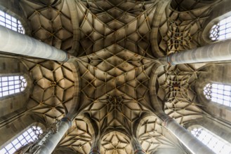 Interior view, Gothic vault, St Michael's Church, Schwäbisch Hall, Old Town, Kocher Valley, Kocher,