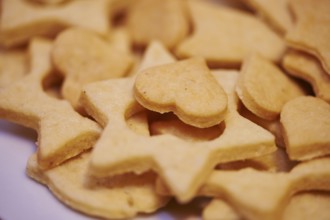 Close-up of biscuits for christmas, Germany, Europe