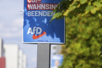 The hot phase of the state election campaign in Saxony can be seen in the amount of different