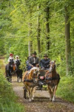 Presentation and route ride, all carriages in stylish tension, popular sporting event over approx.