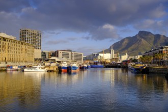 Evening light at the dockyard and harbour district, with MOCCA Museum, Victoria & Alfred