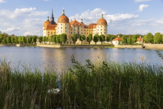 The moated castle, also known as the Filkulisse, lies in the middle of a lake and is a popular