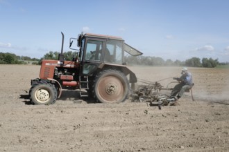 Tractor dragging a plume of dust behind it while working a potato field, Münchenberge, 20/05/2020