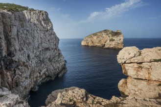 Coast with steep cliffs, Capo Caccia, near Alghero, Sardinia, Italy, Europe