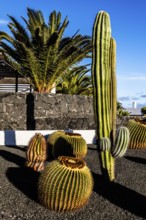 2016, Lanzarote, ESP, Spain, Canary Islands, Canary Islands, Atlantic Ocean, Lanzarote, biosphere