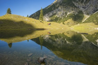 Unterer Gaisalpsee, Allgäu Alps, Allgaeu, Bavaria, Germany, Europe