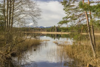 Lake Fohnsee of the Ostersee-group in early morning light