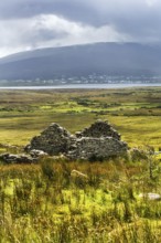 Ruin of a stone house in a meadow, abandoned village, settlement near Slievemore, Acaill, Achill