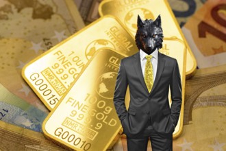 Symbolic image, wolf in a suit, stock market, gold, securities, industry, economy critical,