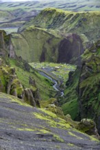 Campsite in a canyon, Moss-covered volcanic mountain landscape, Pakgil, Iceland, Europe