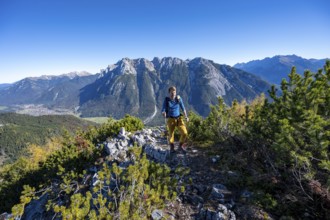 Mountaineer on a hiking trail between mountain pines, autumnal mountain landscape, ascent to the