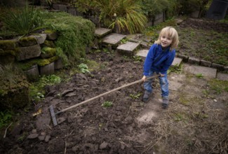 Little boy, 6 years, blonde, gardening, rake, allotment, Stuttgart, Baden-Württemberg, Germany,