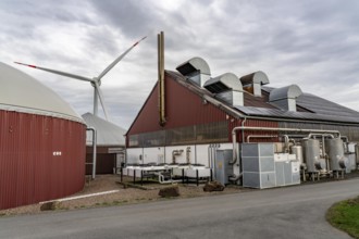 Biogas plant produces gas from various biomass, electricity is generated in combined heat and power