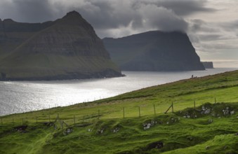 Fields, view from Vidareidi, Vidoy Island, Viðareiði, Viðoy Island to Borðoy, Kunoy and Kalsoy,