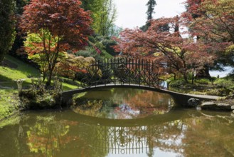 Pond with bridge in the park, spring, Villa Melzi, Bellagio, Province of Como, Lombardy, Italy,