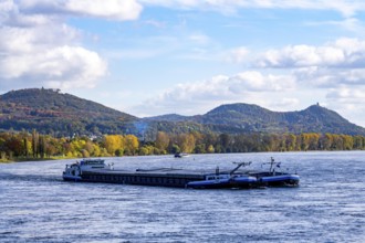 Cargo ship on the Rhine near Bonn, valley driver, in the background the Siebengebirge, North