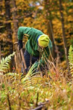 A man in work clothes bends down to work among autumn plants, tree planting campaign, Waldbike