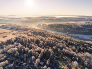 A wide river valley surrounded by snow-covered forests at sunrise, Gechingen, Hecken and Gäu