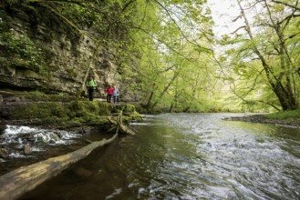 Hiking trail by the river, Wutach Gorge, Bonndorf, Baden-Württemberg, Black Forest, Germany, Europe