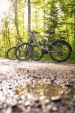 Two e-bikes on a forest path with sunlight and shadow effects, e-bike, forest bike, Calw, district