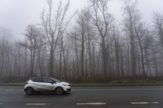 Dense fog, with visibility sometimes less than 100 metres, country road, Heisinger Straße, in