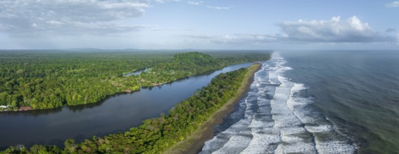 Aerial view, beach and sea, coast with rainforest, Tortuguero National Park, Costa Rica, Central